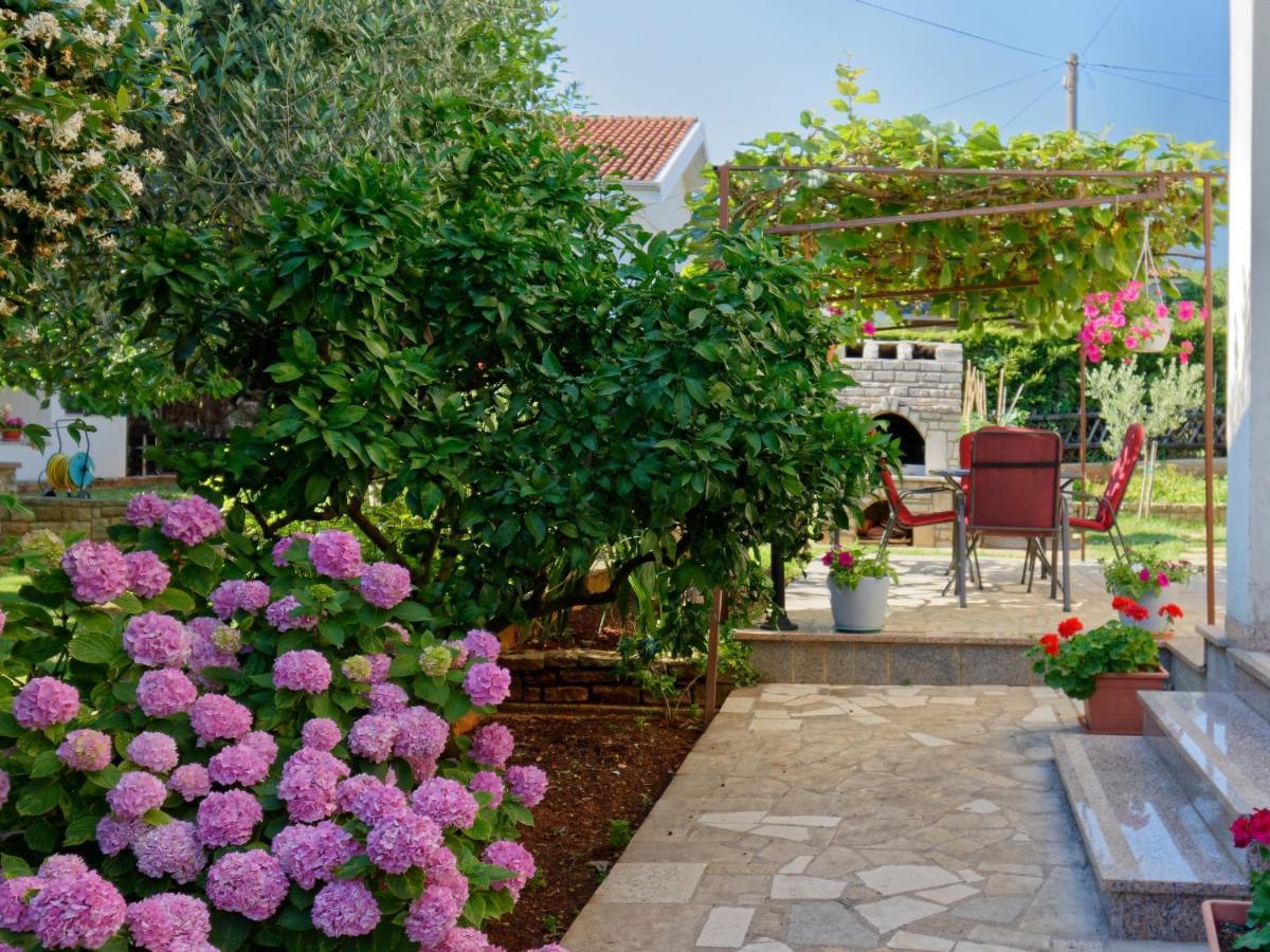 Apartments Marta By Rent Istria Novigrad Istria Exteriér fotografie